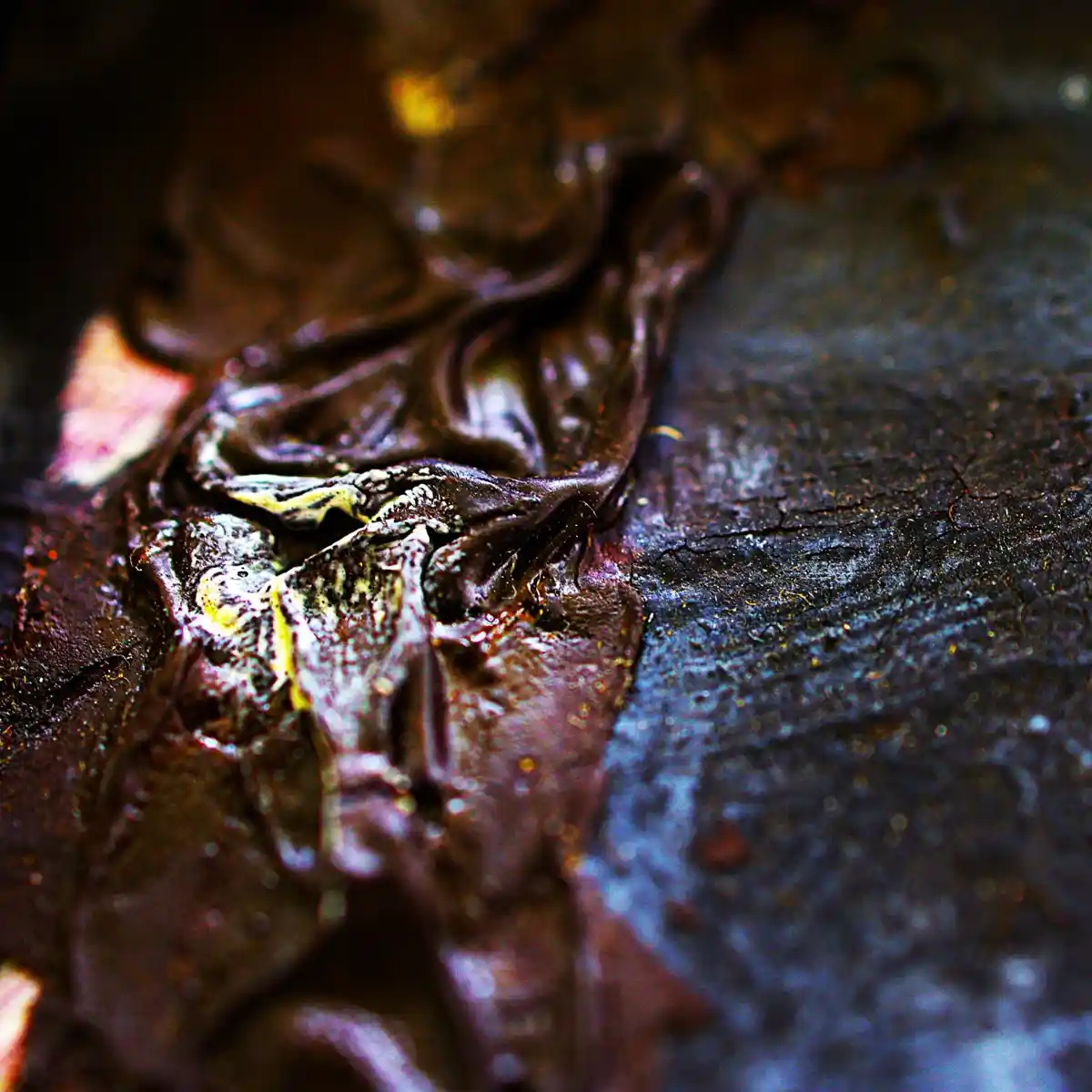 inscription 0a0d0e12f1f2f5d157c3ca90efe2554002f18668c5ab8e2af3d28b84ce840b42i1