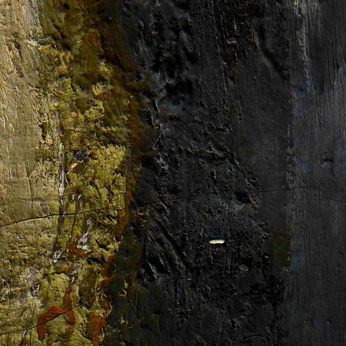 inscription 0d082e900bae6bf4b0f10d03338f58899d5f0b8eadd4543bc0b0c9284b7a2656i1