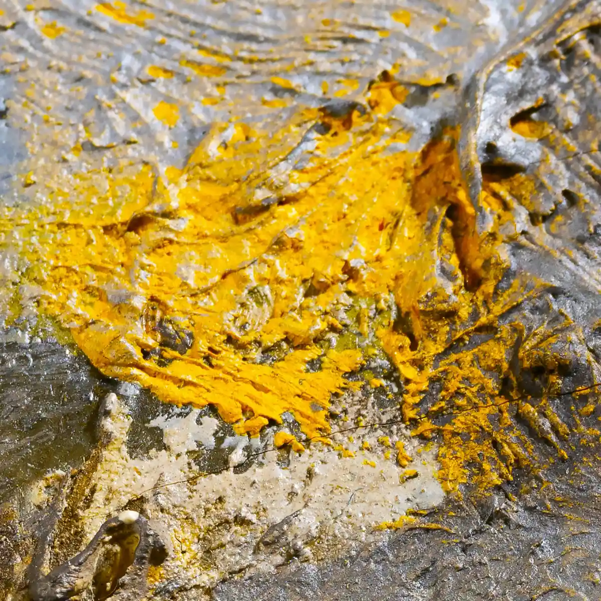 inscription 0d9c4c8b96dc654a79ca4e3651eb6f9ff1b803f1d9c928f59a081c772e5f4b76i0