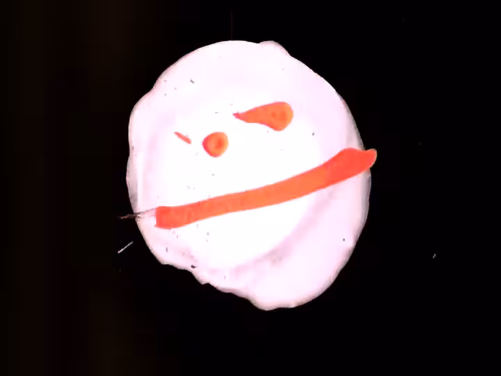 inscription 27ae770330bff7d81cc9f90b682fa1fc7b80c0a0dc5b8c82b746b2ec734bc6d8i10