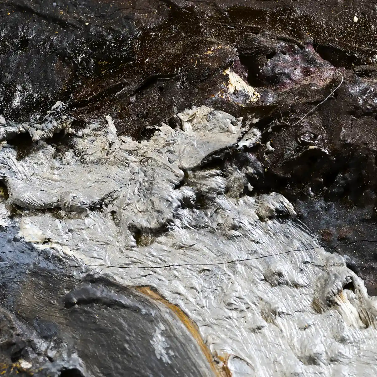 inscription 2c63f3a129dcb9cd4746ff0e33f7b1d8b63685e3471643452d7c491d118382f9i0