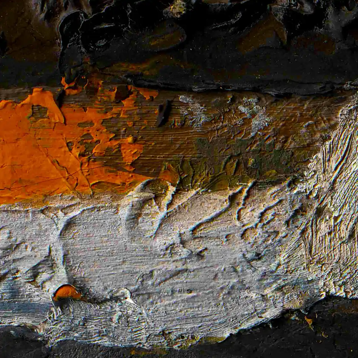 inscription 401995eb4ba4220b26cd3b479480302bcac0b6f1d37d6a6d7836cdad472d1033i2