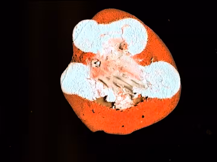 inscription 46126dda16a5e0c62aa61dba977f89b88fb92d11610a21d6e1c53e2ae8c3d5d2i11