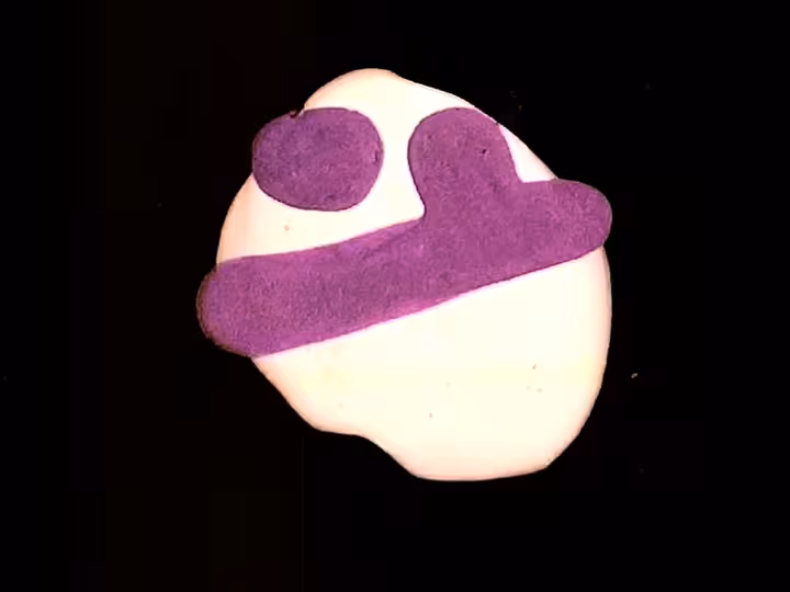 inscription 46126dda16a5e0c62aa61dba977f89b88fb92d11610a21d6e1c53e2ae8c3d5d2i8