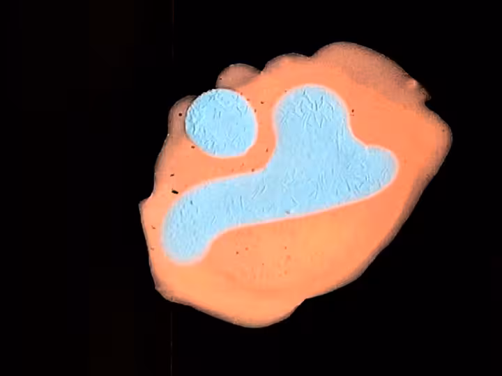 inscription 547fa32ad1c13d91bbbe4f4d6b3286912e2506db251d21ae63085cdcdd655692i2