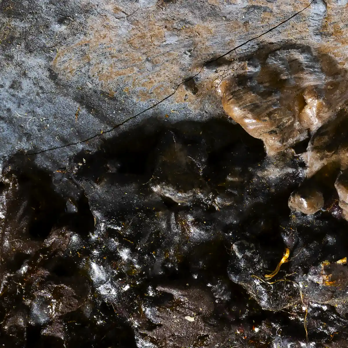 inscription 7c5e2cd614823f54ef0ec49c06dcda6a0e1a33a4b081d842e7b85adffac3ed6di0