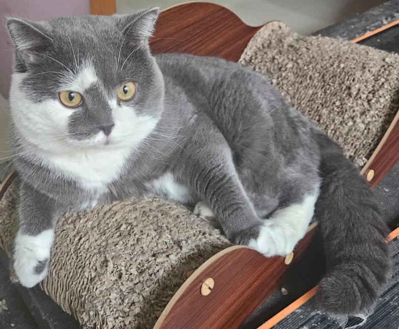 inscription 8c410083b5f684a064f08c017a9eca71c8dc6f0ee58500e4193ce7e9b77cb40ei0