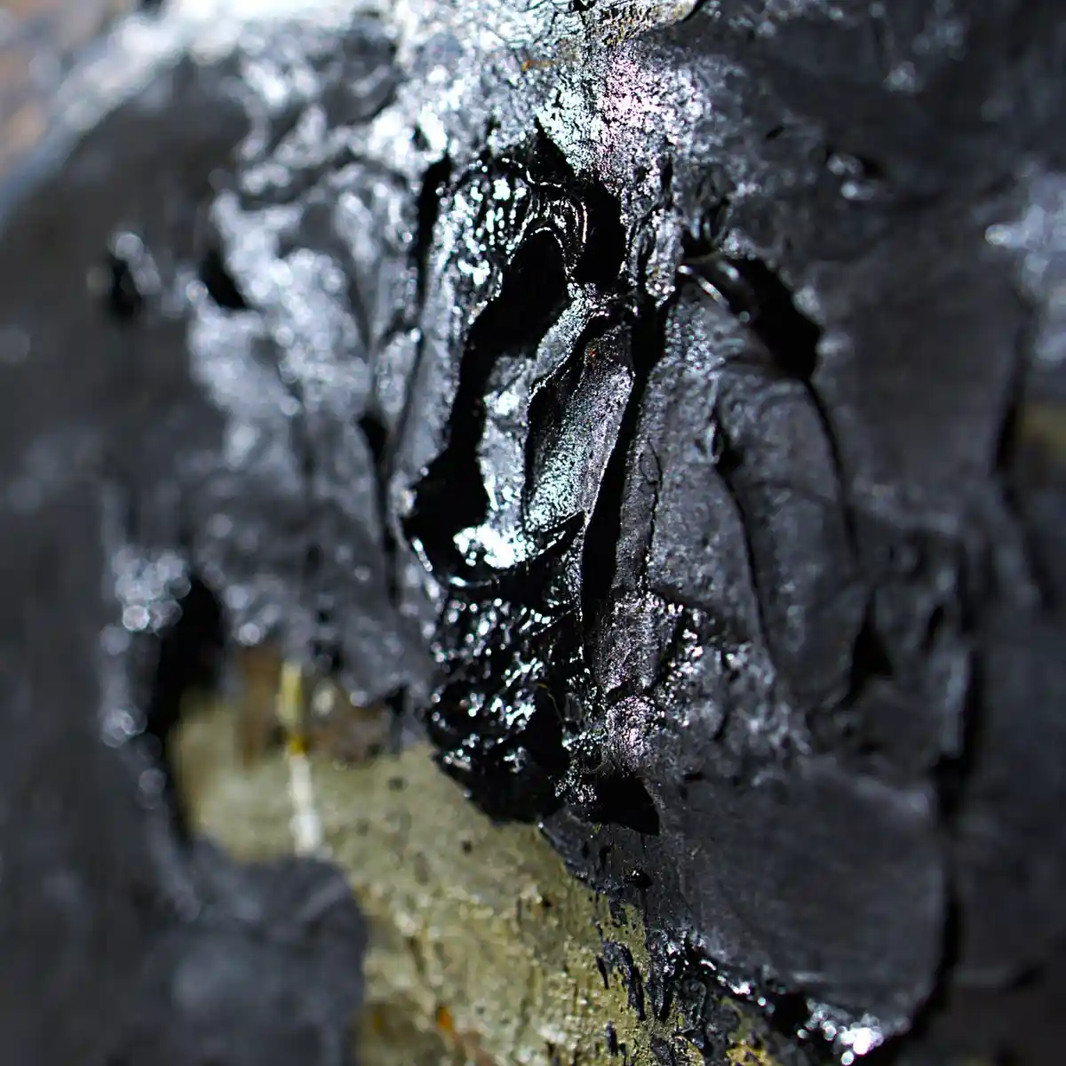 inscription 8cfe61d7069f3bfd180a10c40f98ce71e8ee017835da2700212d4853344352b2i1