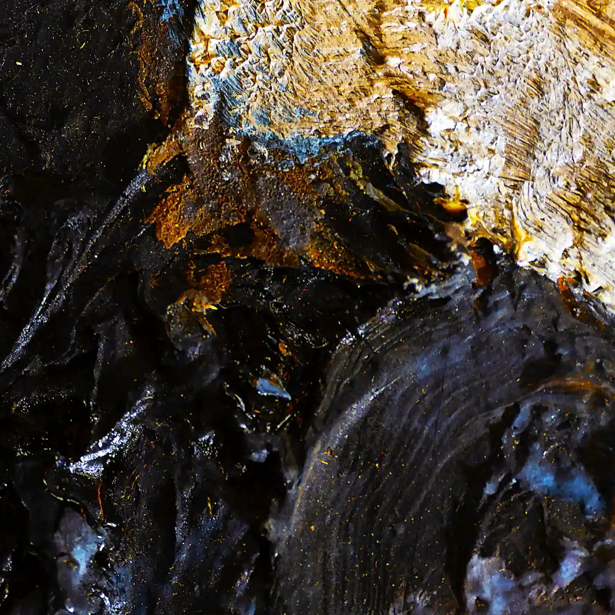 inscription 9c95e1721f1eef07adb3aff6f000a5fc78a47a6aa1debe2a0ebbfc5caadce6c0i0