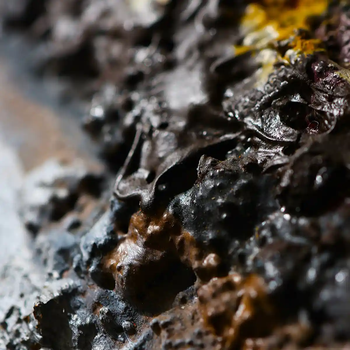 inscription b637b57cb8e193d0f2d66e041ac50c7892e69aacb70b20b75cbf72ed19115bcdi1