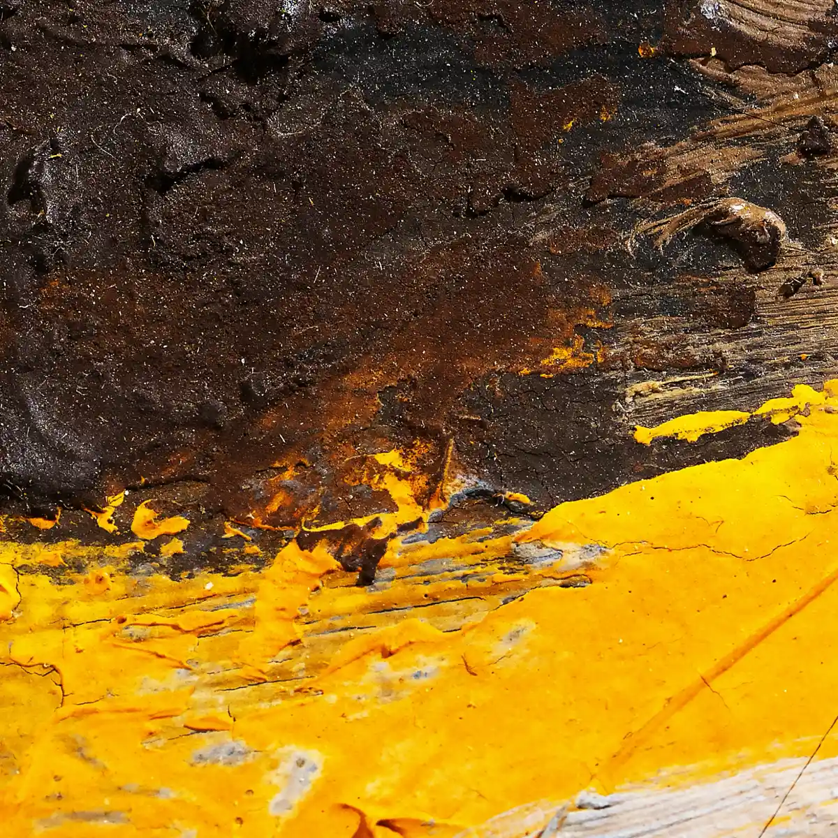 inscription b73c09b25f44c3d59d4b4c729f99b9ec4109ba118bf0a29e83c7f515e1e4241bi0