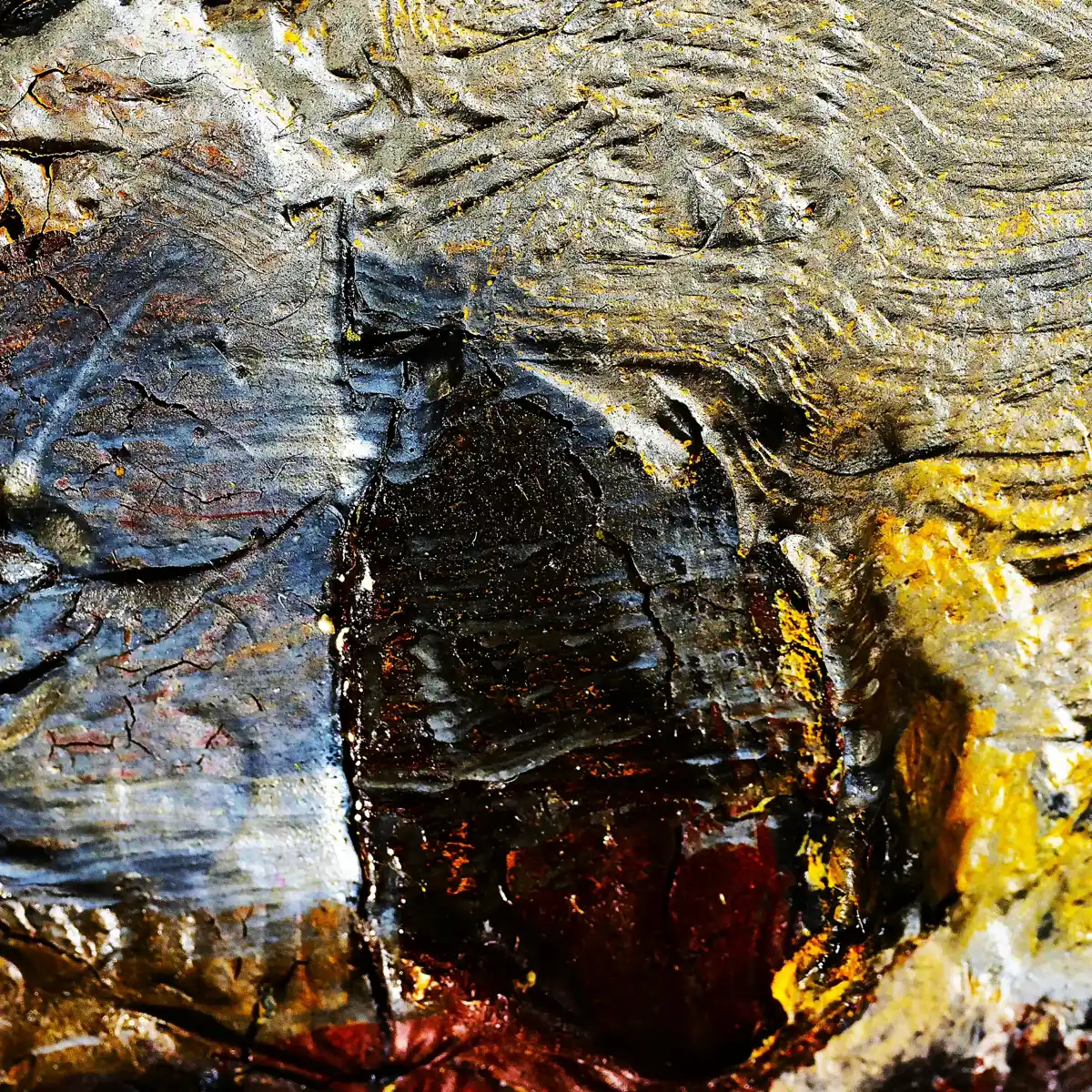 inscription b88229f21dff99b8498d41b299e8967dd73c3bc3e14a03a07b3c7eed32f7c484i0