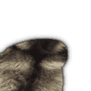 inscription be0d08c34ec5c8404caba54a577d4d4cf12dc43911c580a6fe7d2204e784c0f0i27