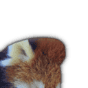 inscription be0d08c34ec5c8404caba54a577d4d4cf12dc43911c580a6fe7d2204e784c0f0i28