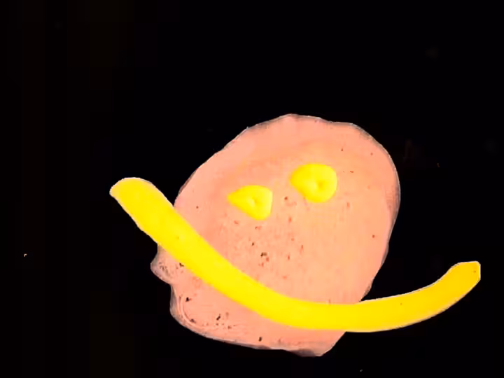 inscription c3074dbdf68103cb2ea8364c22be5ee1800088a4c1d3c4d91e7c5e76d1ce7bb2i25