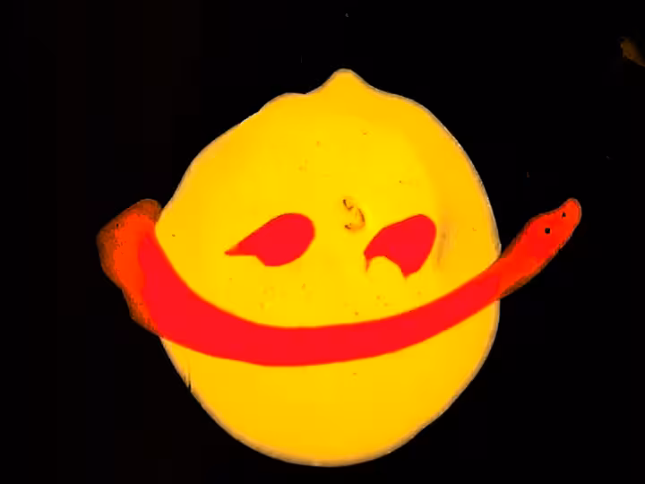 inscription c31a060d5c5c95643cc2a0dbeca45eb89efd1f676442f80231410affb694e2a6i15