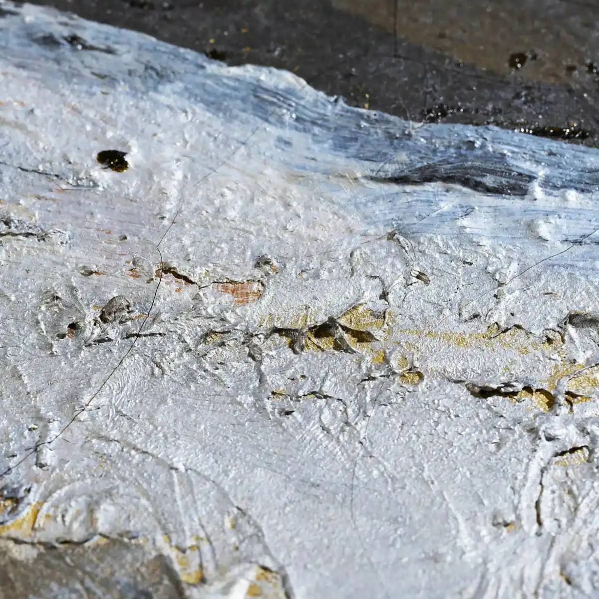 inscription c4b1d0fcb4a486ff354c1b80d557a58bb7d643ee19ab5f5348e27ed2c98af264i0