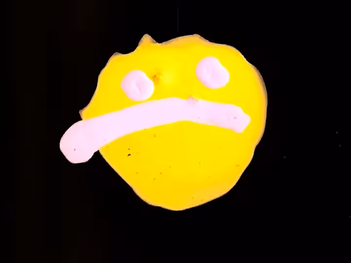 inscription cdf377d4fb41b137f121d62c96e05d688c2aa5b290ac2539f3e909b48b0ee4d7i13