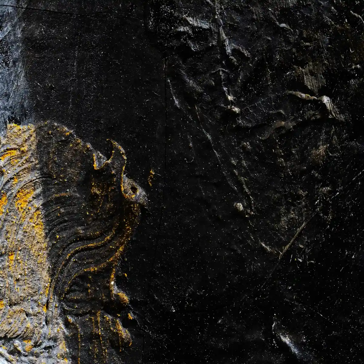 inscription d4a8abfb9dba8fd60626bcfb204b46243032bfdfbde5fa171ea1c3a926089f49i0