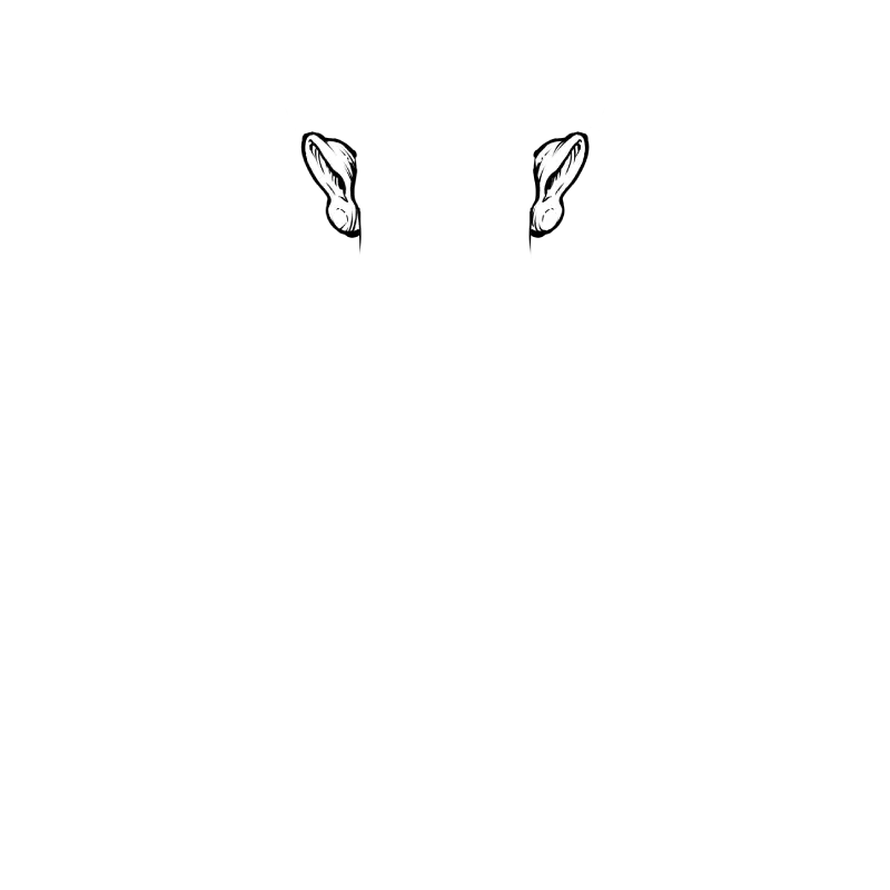 inscription f784673b7cf7a3da0f315712d1249bbf3193d0d87ef7d178a2c1ae59704aedb2i0