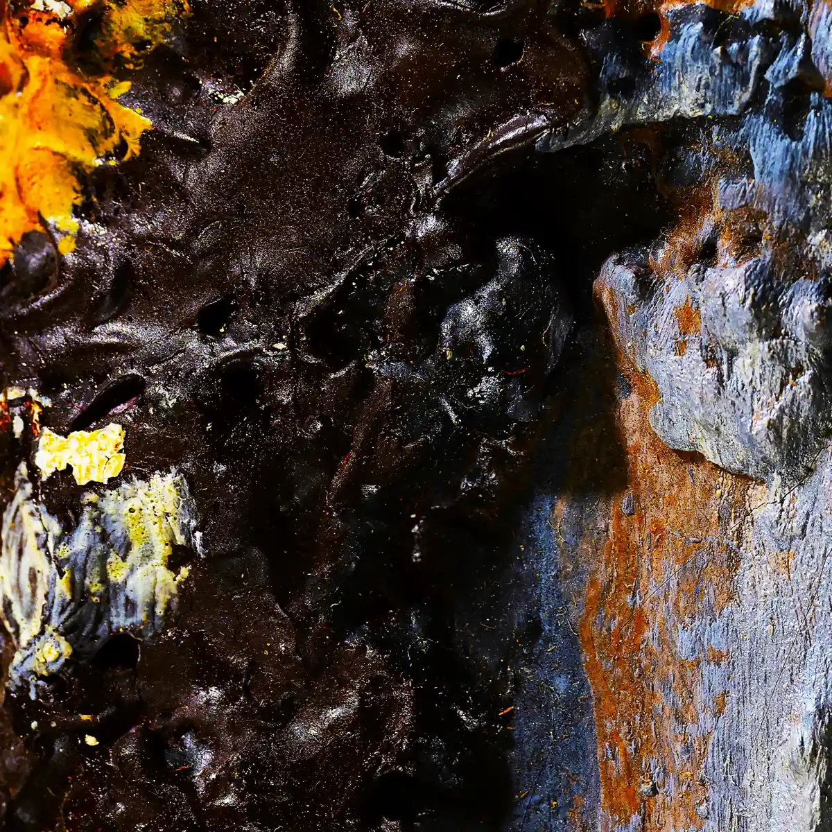 inscription f8a9913fba29c7acb53e942db021dda8724737f0fc0a0a138fa52a174f1a0f32i0